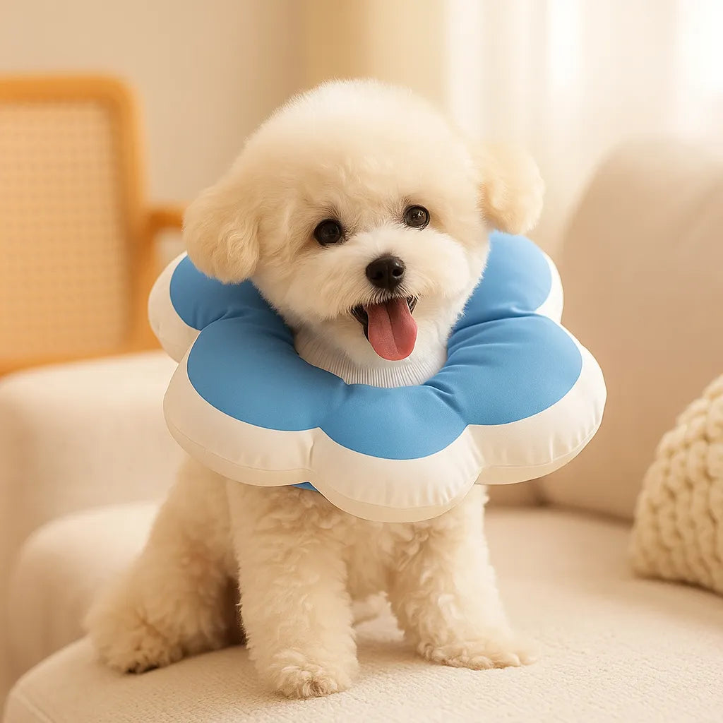 Halskrause weich | Leckschutz &amp; Wundschutz nach OP