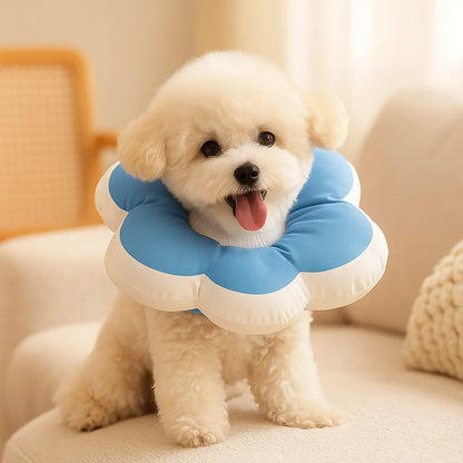 Halskrause weich | Leckschutz &amp; Wundschutz nach OP