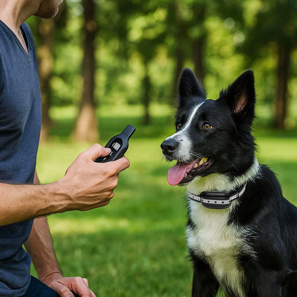 AntiBell Halsband | Ton, Vibration &amp; Impuls | Wasserdicht &amp; 1000m