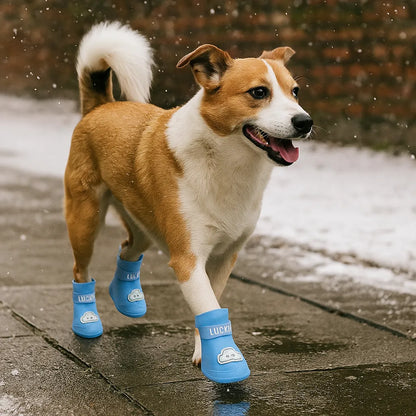 Hundeschuhe wasserdicht &amp; rutschfest | Mit Klettverschluss für Regen &amp; Schnee