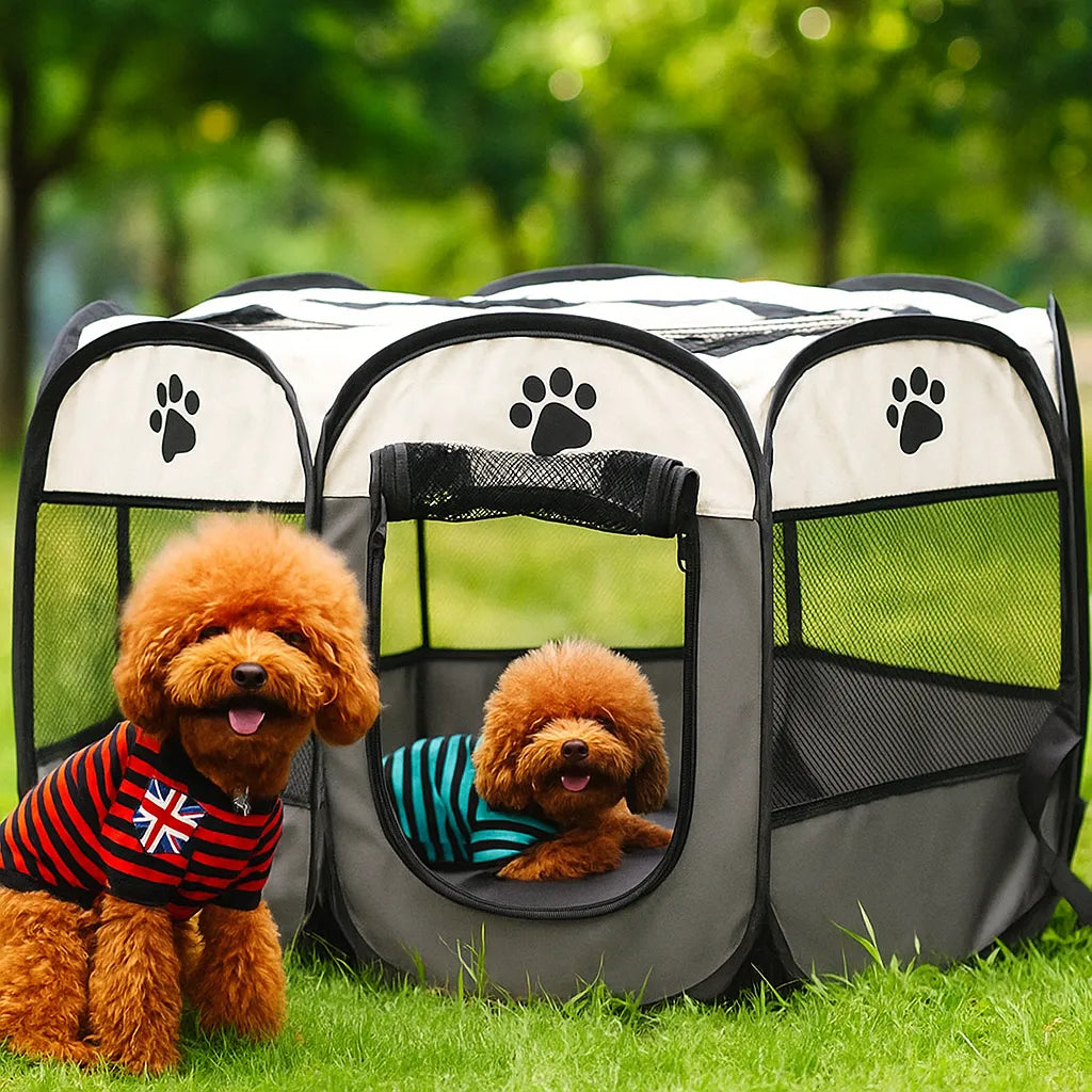 Faltbares Hundezelt | Reisebett &amp; Hundehöhle für unterwegs