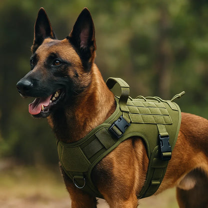 Hundegeschirr mit Griff | Stabil, bequem und outdoor-tauglich