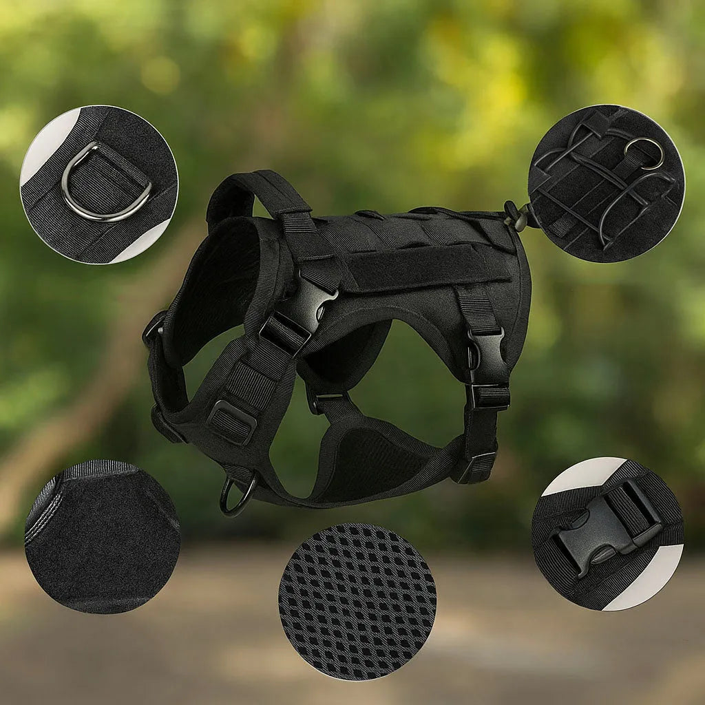 Hundegeschirr mit Griff | Stabil, bequem und outdoor-tauglich