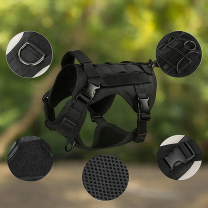 Hundegeschirr mit Griff | Stabil, bequem und outdoor-tauglich