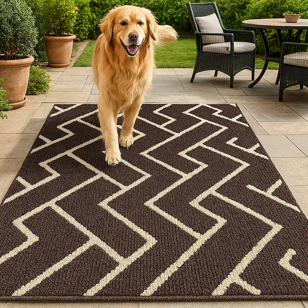 Schmutzfangmatte Hund – saugfähige &amp; rutschfeste Fußmatte waschbar