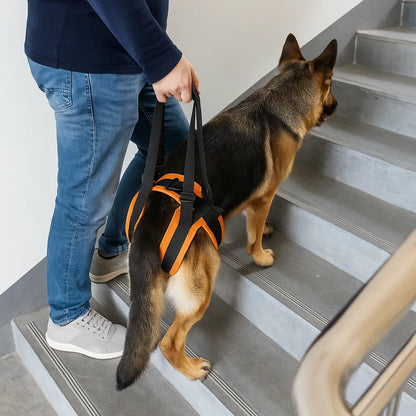 Hunde Tragegeschirr hinten | gepolstert &amp; stabil für Unterstützung