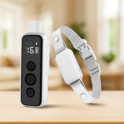 Erziehungshalsband Hund – Training mit Ton &amp; Vibration