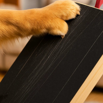 Hundespielzeug mit Leckerli-Fach | Fördert natürliche Krallenabnutzung