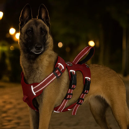 Hundegeschirr gepolstert &amp; reflektierend | Anti-Zieh Brustgeschirr