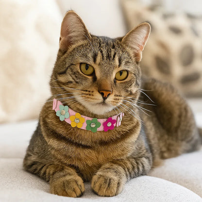 Katzenhalsband verstellbar | Weich mit Sicherheitsverschluss &amp; Blumenmuster