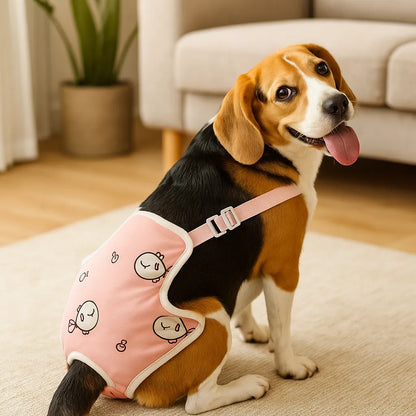 Hundehose mit Trägern | Hundewindel – Waschbar &amp; verstellbar