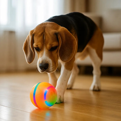 Hundespielzeug interaktiv | Selbstrollender LED Ball für Hunde