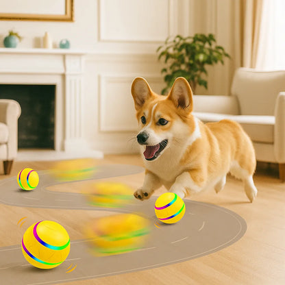 Hundespielzeug interaktiv | Selbstrollender LED Ball für Hunde