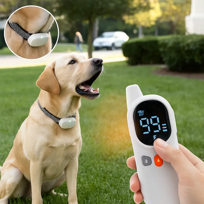 Antibellhalsband Hund | Erziehungshalsband mit Fernbedienung