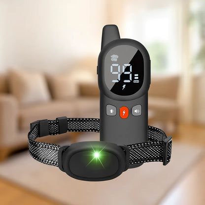 Antibellhalsband Hund | Erziehungshalsband mit Fernbedienung