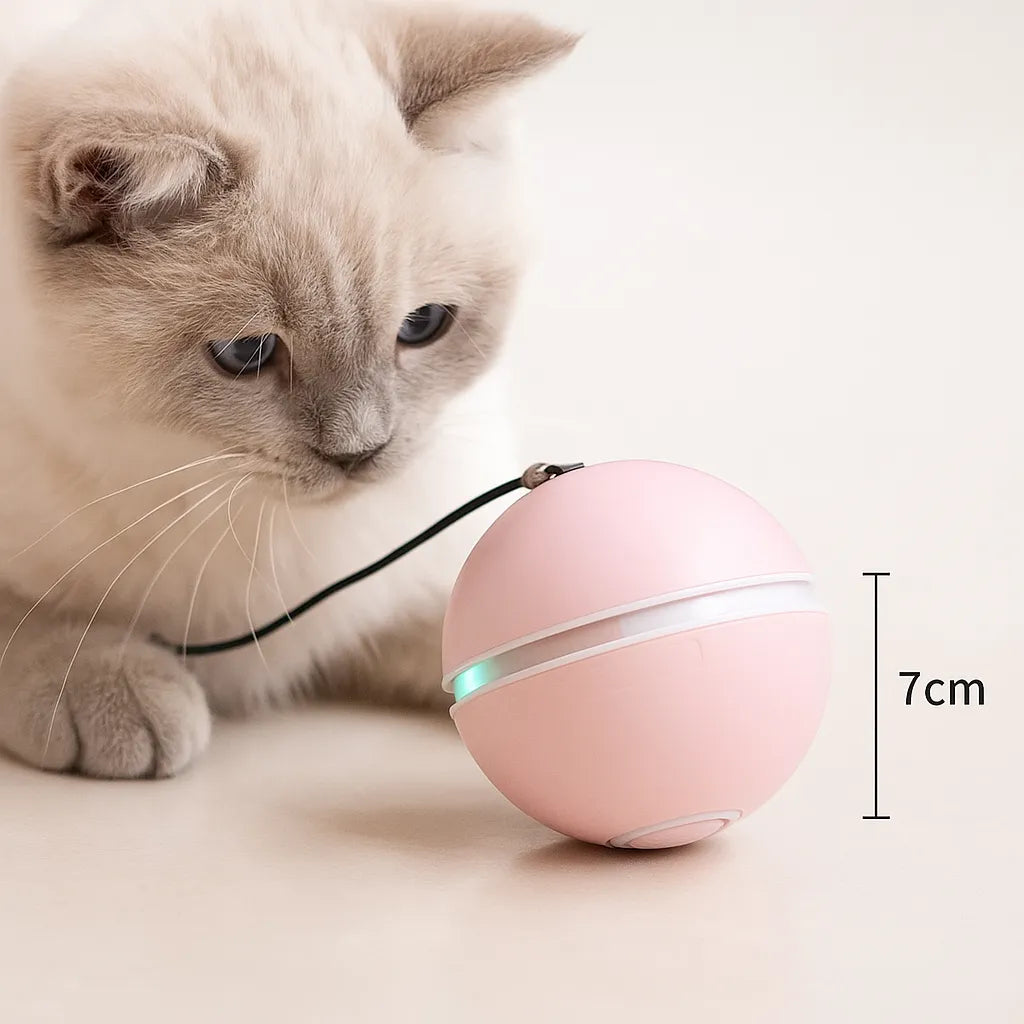 Katzenspielzeug LED Ball automatisch | Selbstrollend &amp; aufladbar