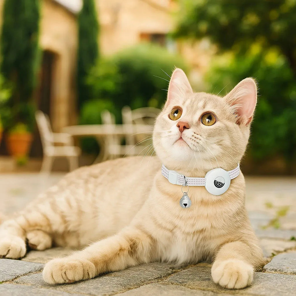 Katzenhalsband reflektierend | Mit AirTag-Halterung &amp; Glöckchen