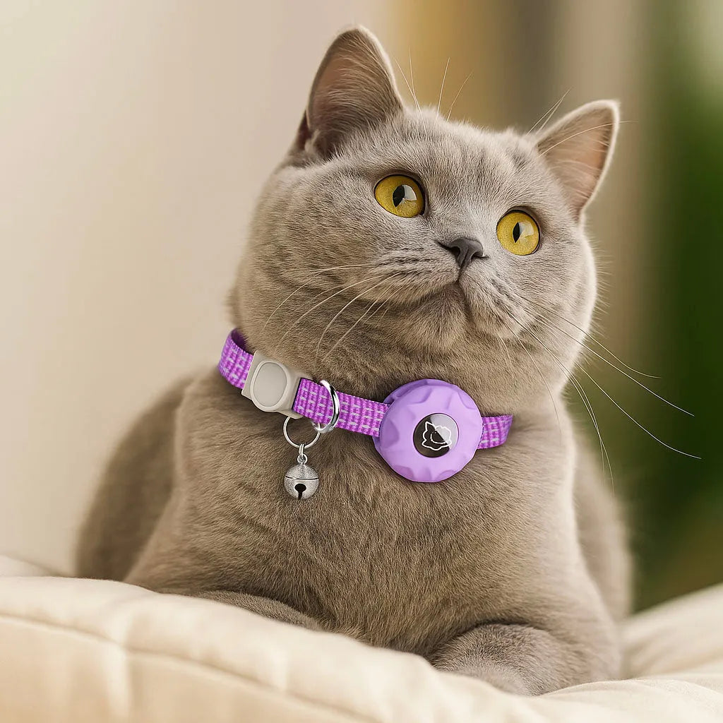 Katzenhalsband reflektierend | Mit AirTag-Halterung &amp; Glöckchen