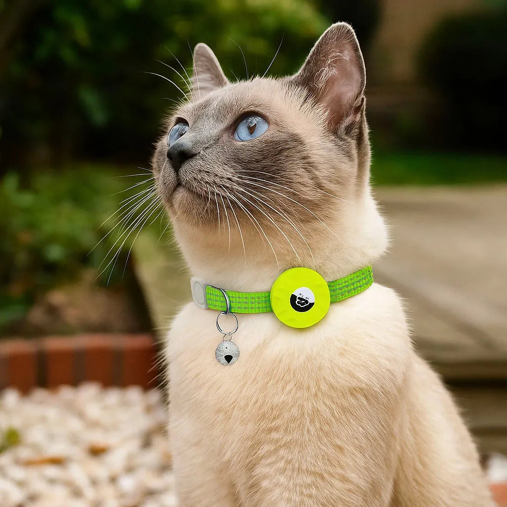 Katzenhalsband reflektierend | Mit AirTag-Halterung &amp; Glöckchen