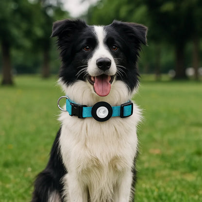 Robustes Hundehalsband | AirTag Halsband aus Nylon &amp; verstellbar