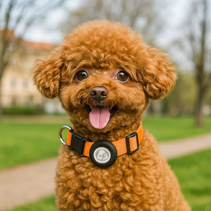 Robustes Hundehalsband | AirTag Halsband aus Nylon &amp; verstellbar