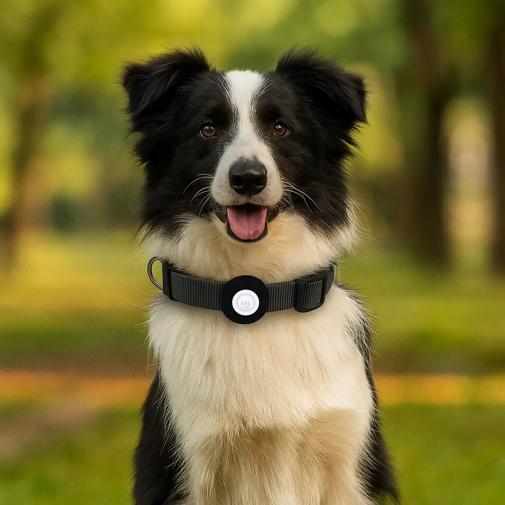 Robustes Hundehalsband | AirTag Halsband aus Nylon &amp; verstellbar