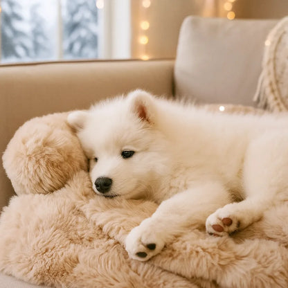 Plüsch Hundebett &amp; Hundedecke |  Waschbares sofabezug