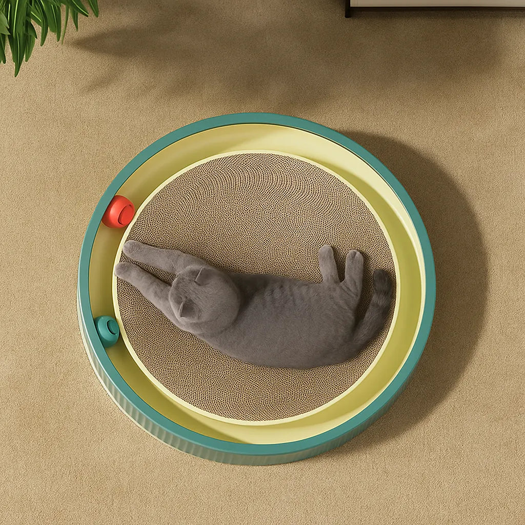 Kratzmatte für Katzen mit Spielball |  Zum Möbelschutz &amp; für die Krallenpflege
