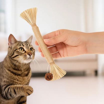 Katzenspielzeug Zahnpflege | Interaktives Spielzeug mit Katzenkraut zur Zahnreinigung &amp; Stressreduzierung