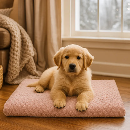 Hundebett mit abnehmbarem Bezug | Waschbar, rutschfest &amp; warm für den Winter