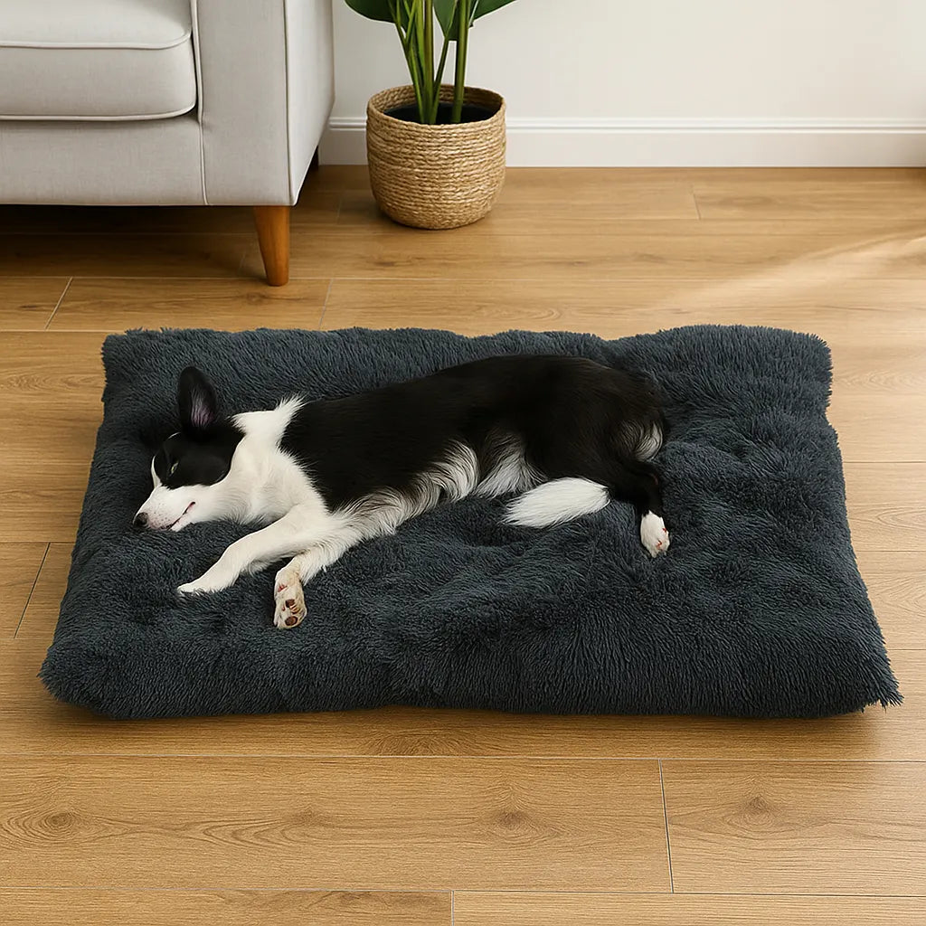 Hundebett Plüsch waschbar | Rutschfestes &amp; faltbares Kuschelbett für Winter &amp; Alltag