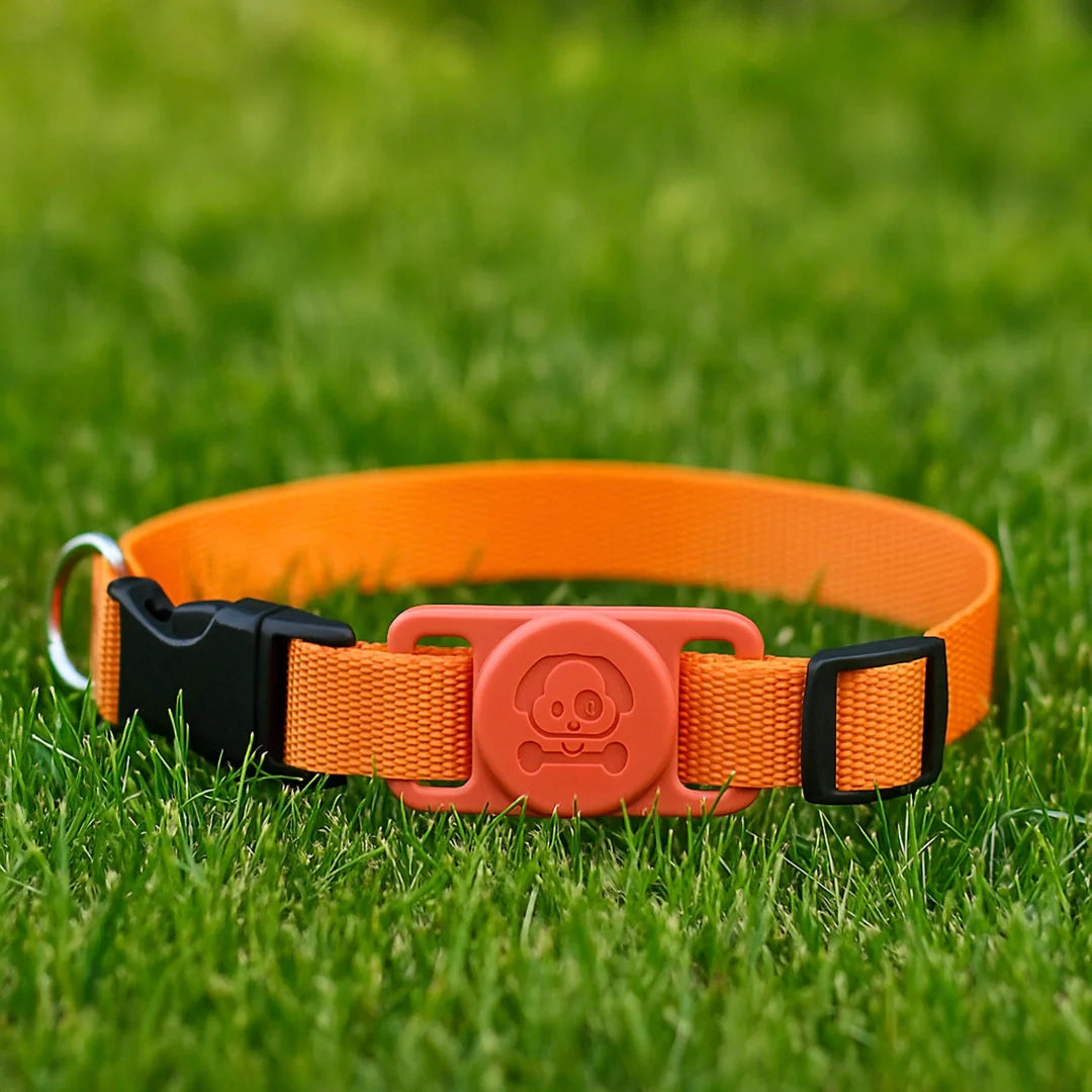 Hundehalsband mit AirTag Halterung | Wasserdicht &amp; sicher für draußen