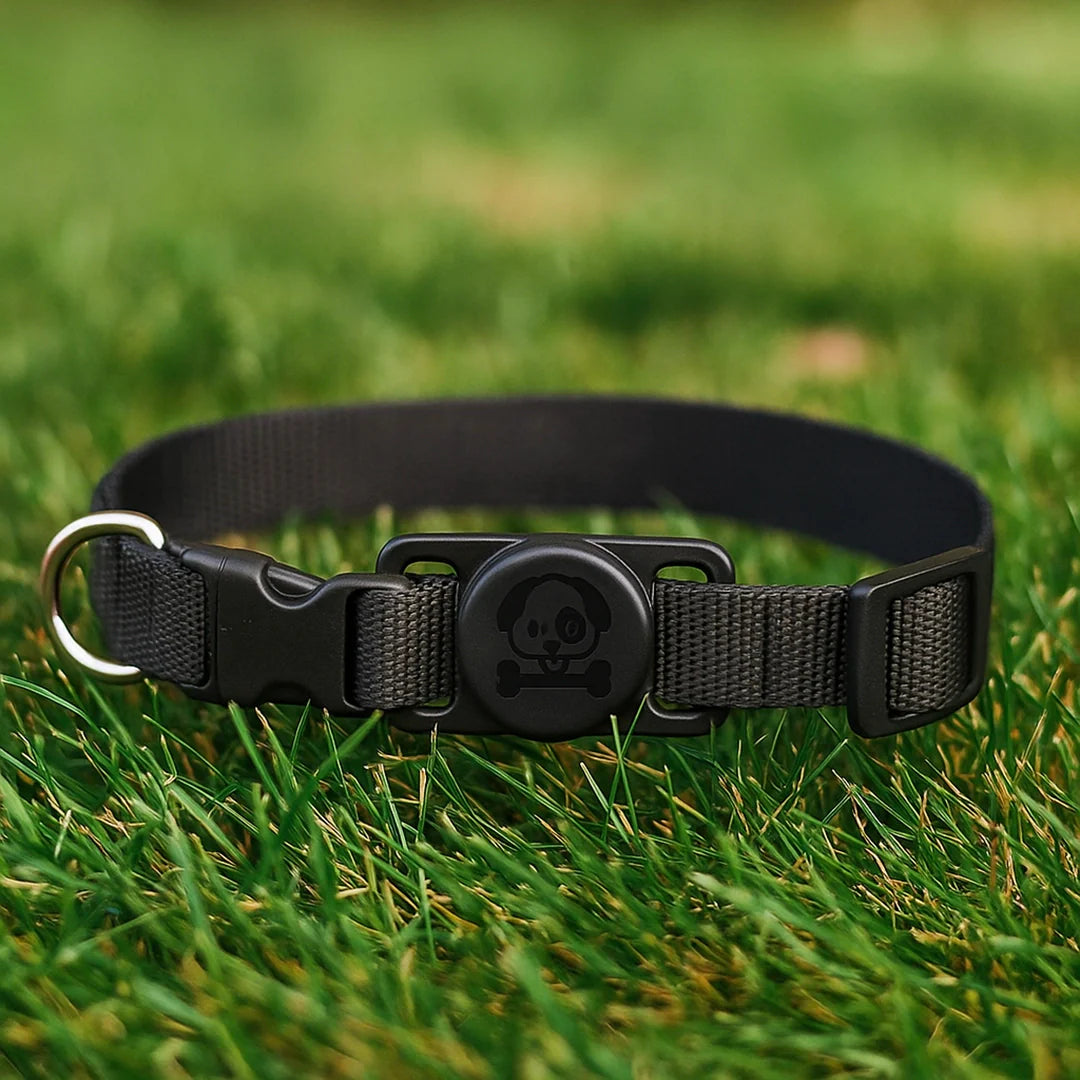 Hundehalsband mit AirTag Halterung | Wasserdicht &amp; sicher für draußen