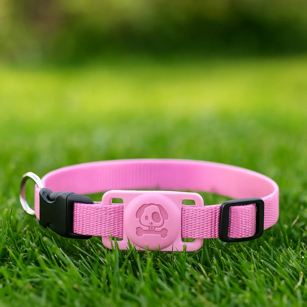 Hundehalsband mit AirTag Halterung | Wasserdicht &amp; sicher für draußen