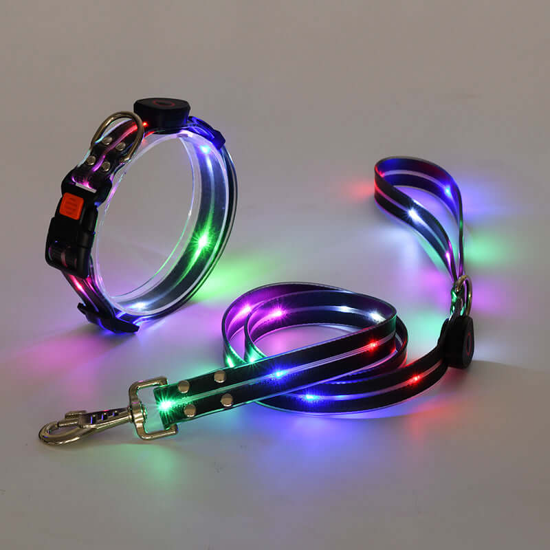 LED Hundehalsband mit Leine - Sicher &amp; Sichtbar