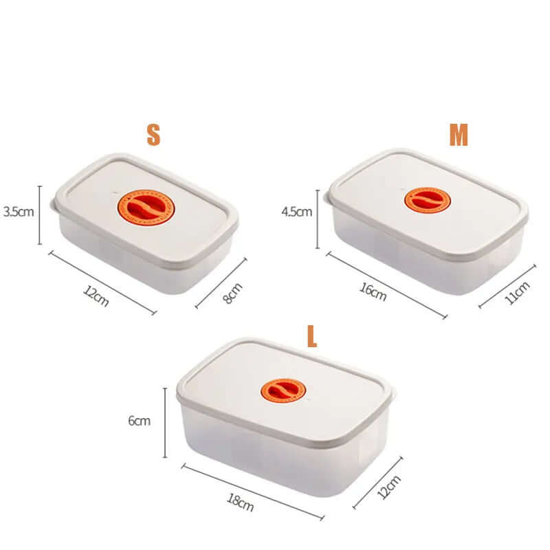 Mehrfächer Bento Box - Nachhaltige Lunchbox