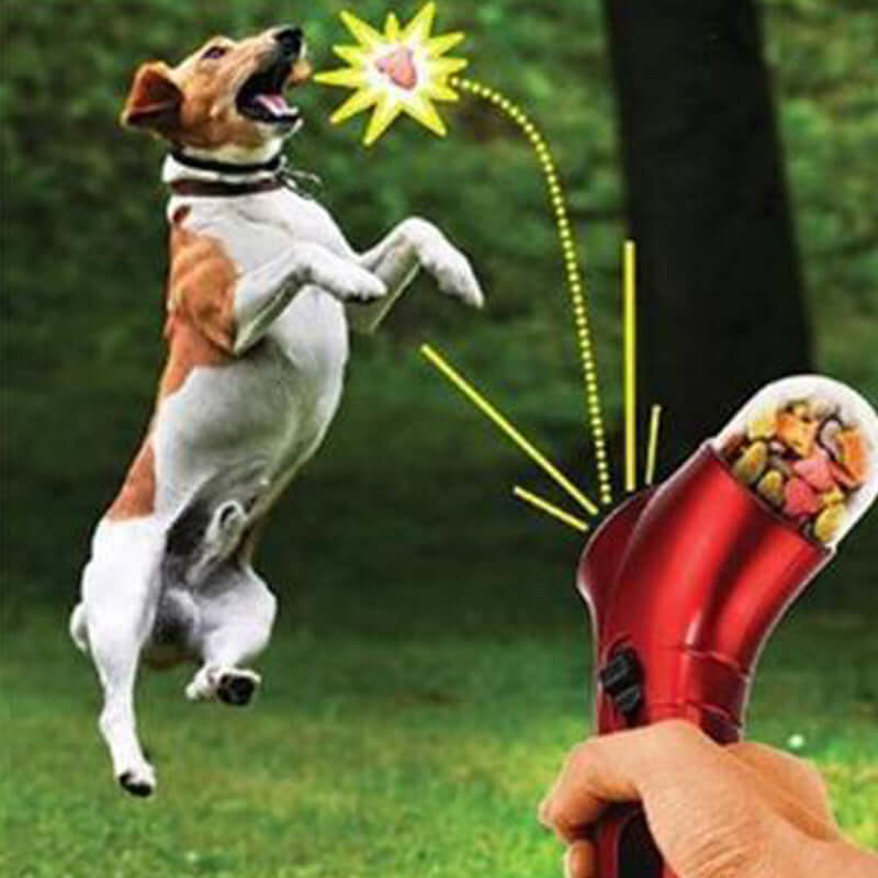 Interaktiver Snackball für Hunde &amp; Katzen