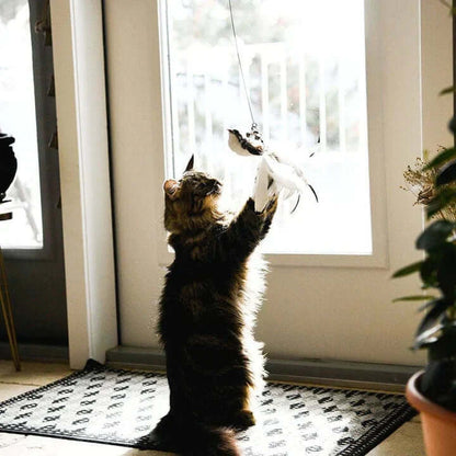 Interaktives Katzenspielzeug - Federnder Vogel