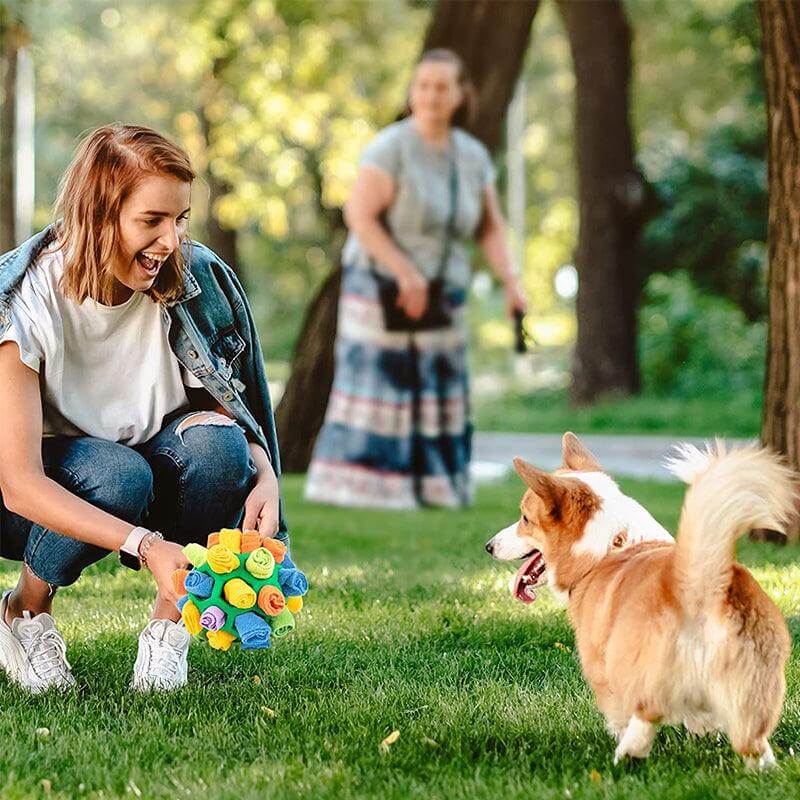 Intelligenzspielzeug für Hunde Schnüffelteppich