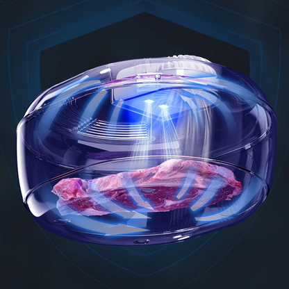 Ultraschall-Auftaugerät 6-in-1 – Schnelles Auftauen von Fleisch, Fisch &amp; Gemüse ohne Qualitätsverlust