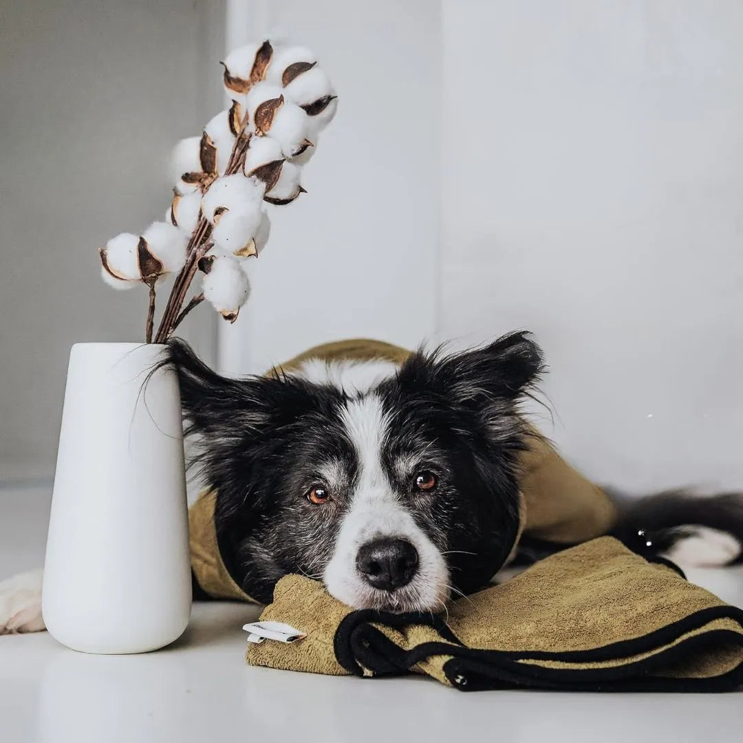 Hunde Bademantel aus Frottee-Baumwolle | Saugstark &amp; waschbar