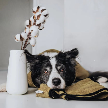 Hunde Bademantel aus Frottee-Baumwolle | Saugstark &amp; waschbar