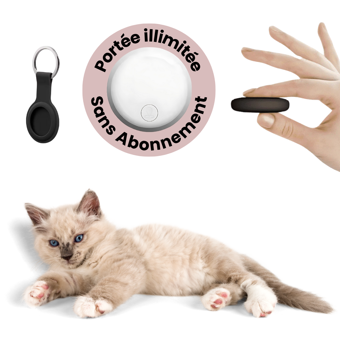 Zelara™ GPS-Tracking 24/7 – GPS-Tracker für Katzen ohne Abonnement