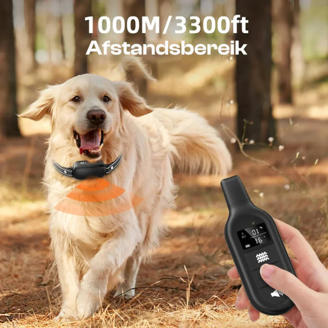 Elektrisches Hundetraining Halsband mit Fernbedienung, Wasserdicht, 16 Einstellbare Schlagstärken, 1000m Reichweite, Piepton &amp; Vibrationsmodi