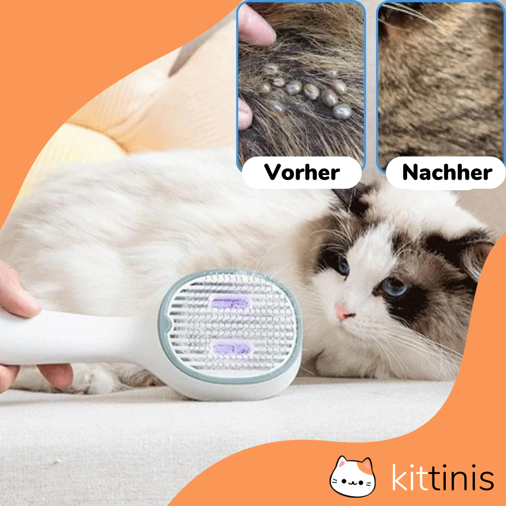 KITTINIS - LUXBRUSH (UV-Zeckenbürste) | 50% RABATT!