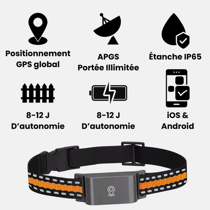 Zelara™ GPS-Halsband für Katzen – Unbegrenzte Reichweite, Keine Abonnementskosten