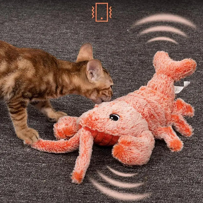 Zelara – das perfekte Spielzeug, um Ihren Hund stundenlang zu beschäftigen!