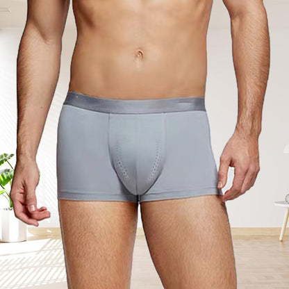 🎁Hot Sale 49% Rabatt⏳Herren Eis-Seiden Leichte Boxer-Briefs