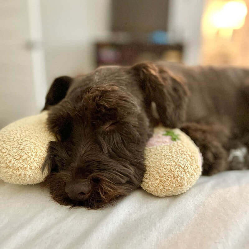 Kuscheliges Hundekissen für Ruhe &amp; Komfort