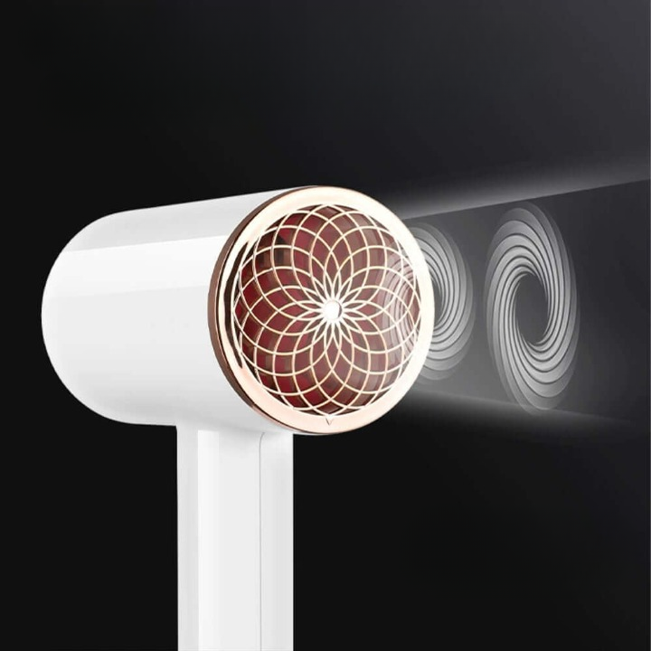 Professioneller 2400W Föhn, Warm &amp; Kalt